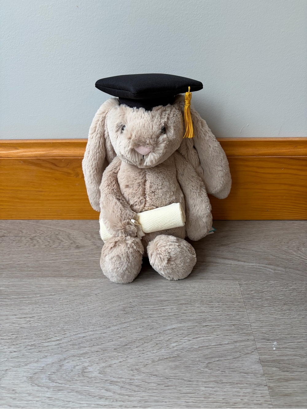 Jellycat Graduation Bunny
